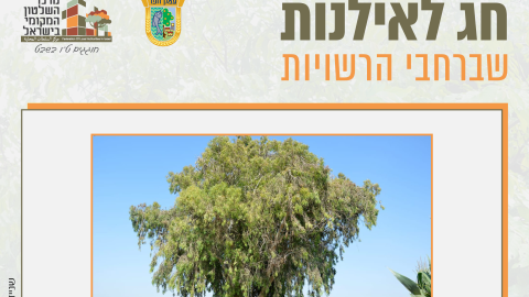 16153_tu_bishvat_rashuyot0113.png