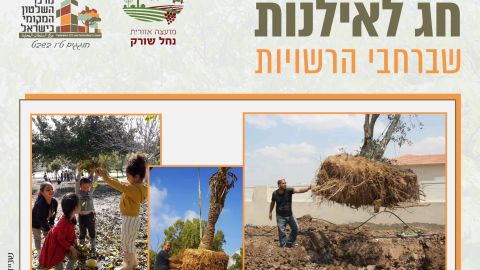 16153_tu_bishvat_rashuyot017.png