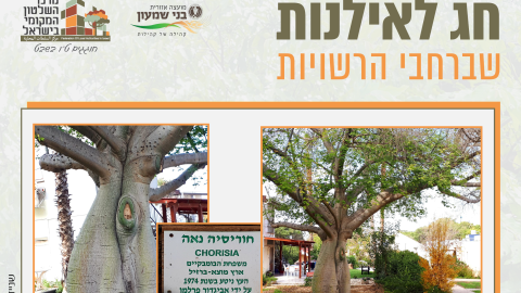16153_tu_bishvat_rashuyot015.png