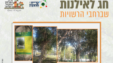 16153_tu_bishvat_rashuyot0123.png