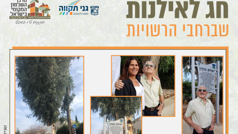 16153_tu_bishvat_rashuyot018.png