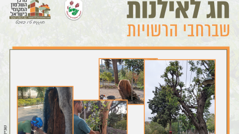 16153_tu_bishvat_rashuyot0117.png