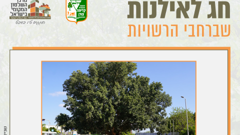 16153_tu_bishvat_rashuyot0114.png