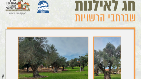16153_tu_bishvat_rashuyot019.png